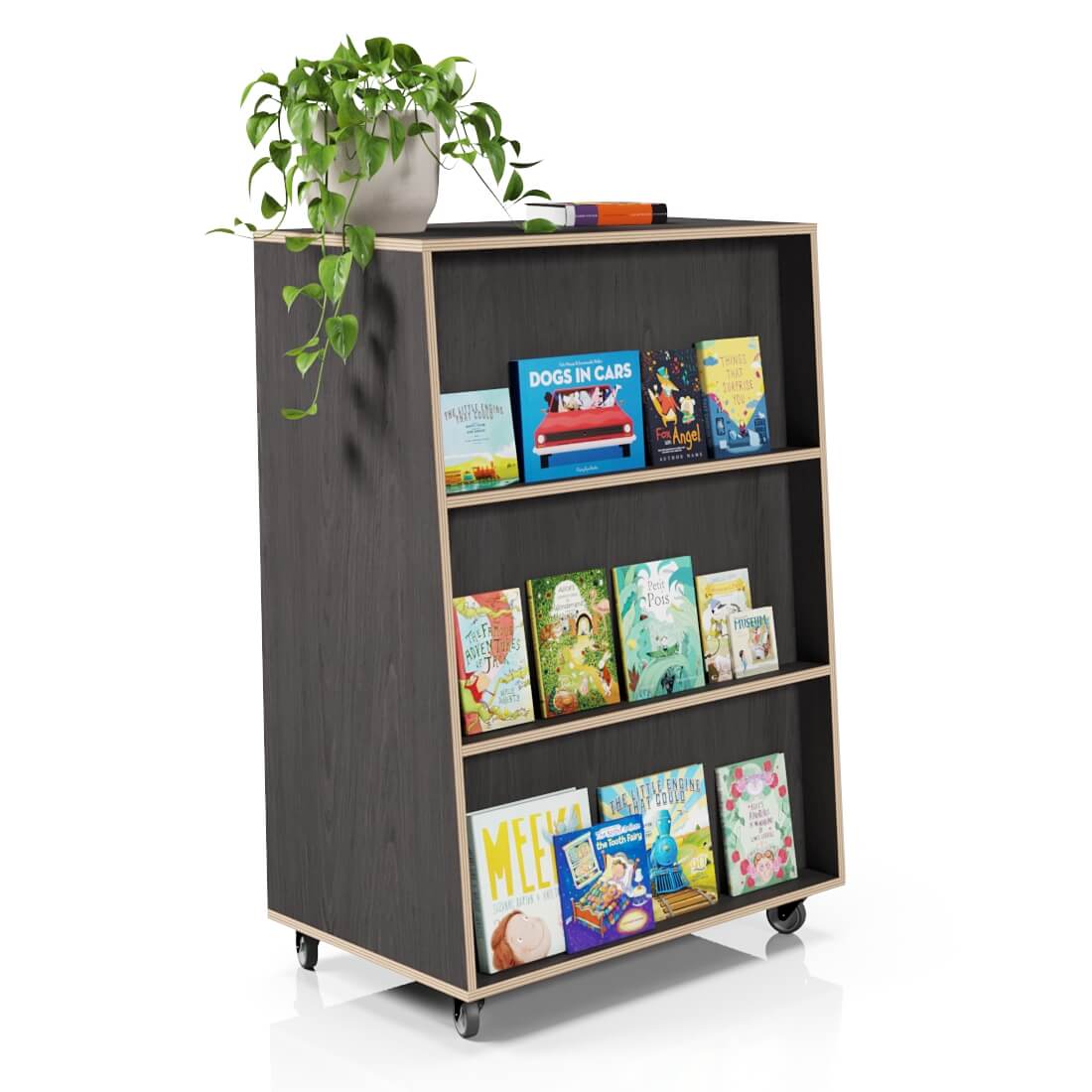 Fusion Bookcase