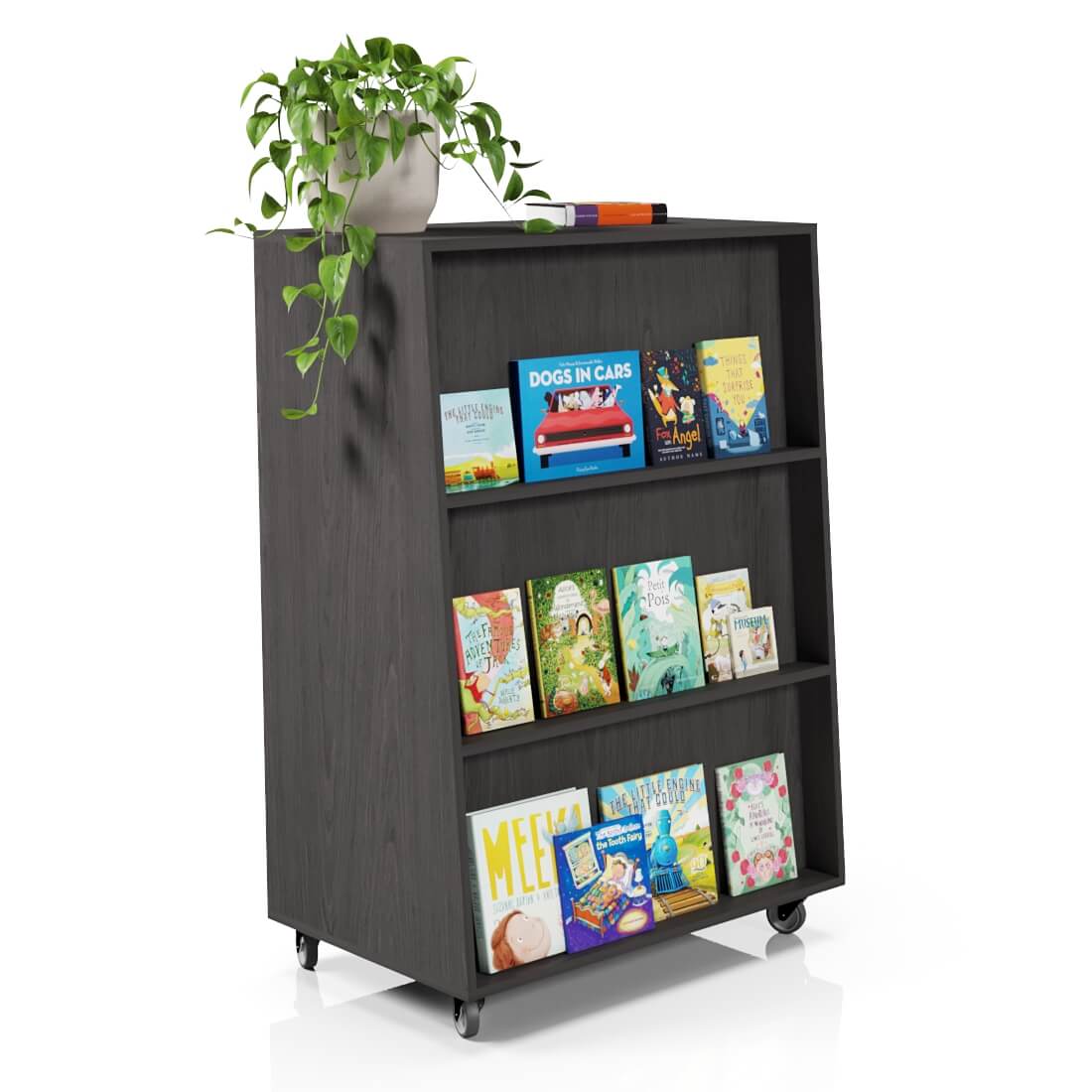 Fusion Bookcase