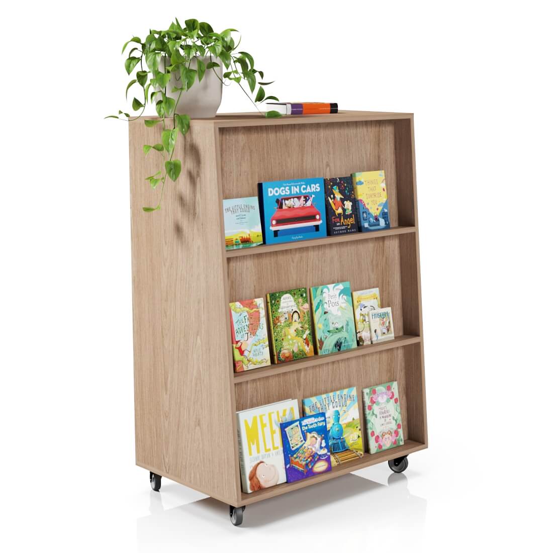 Fusion Bookcase